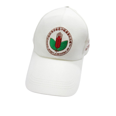 棒球帽 宮廟帽 活動帽 競選帽